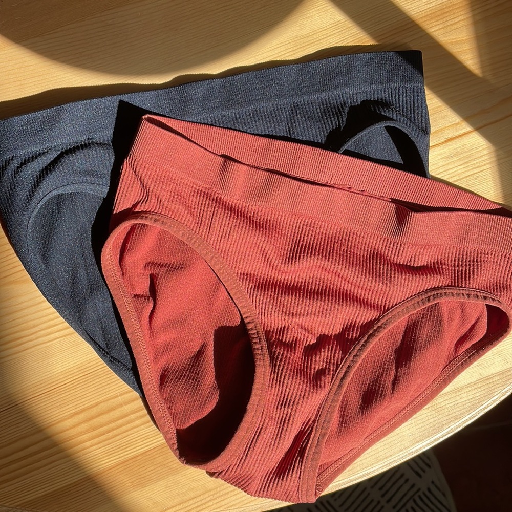 NWOT Seamless Lingerie Ultra Soft Hipster Underwear 2pack brick and black